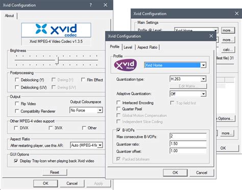 Download the XviD Codec .